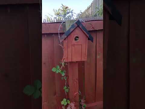 garden time jobs by Phoenix Ki