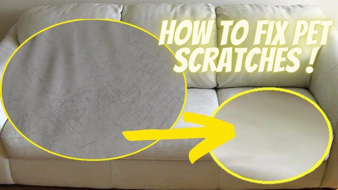 How To Fix Cat Scratch On Leather Couch – COZY Living