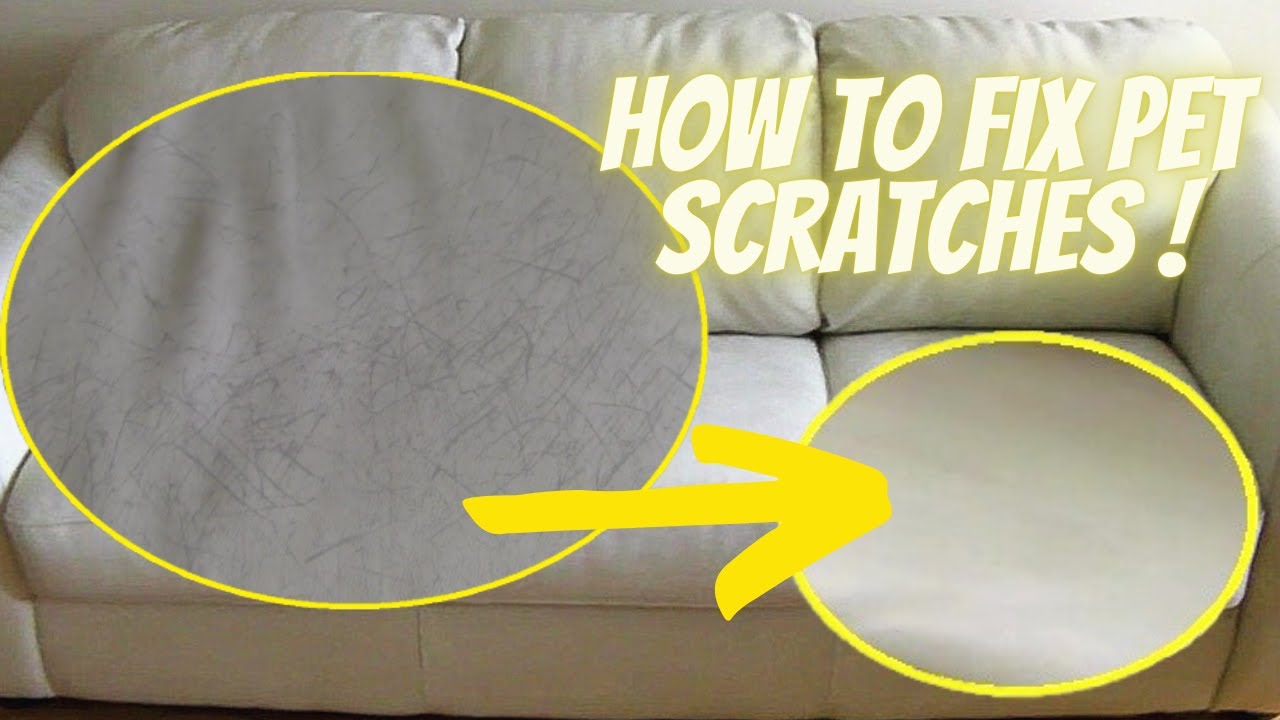 Fix scratches on my couch? These are from my dog? : r/howto