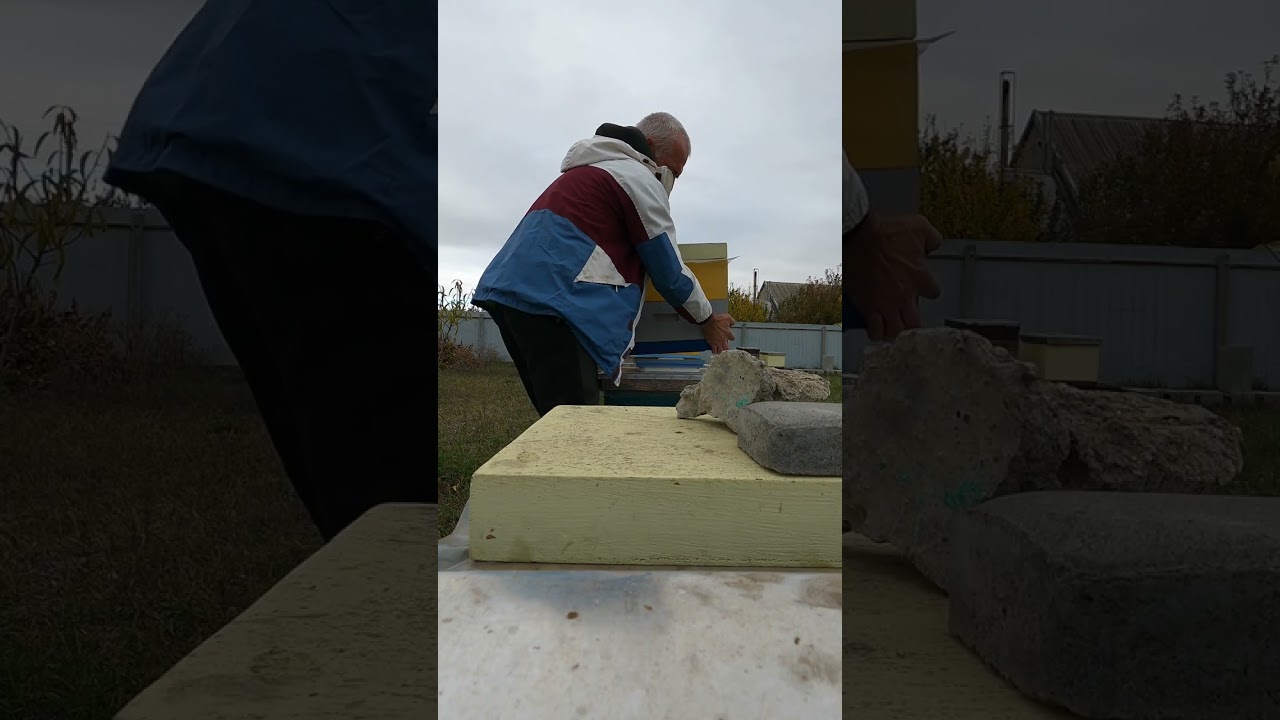 Вага шестірамочника в зимку .