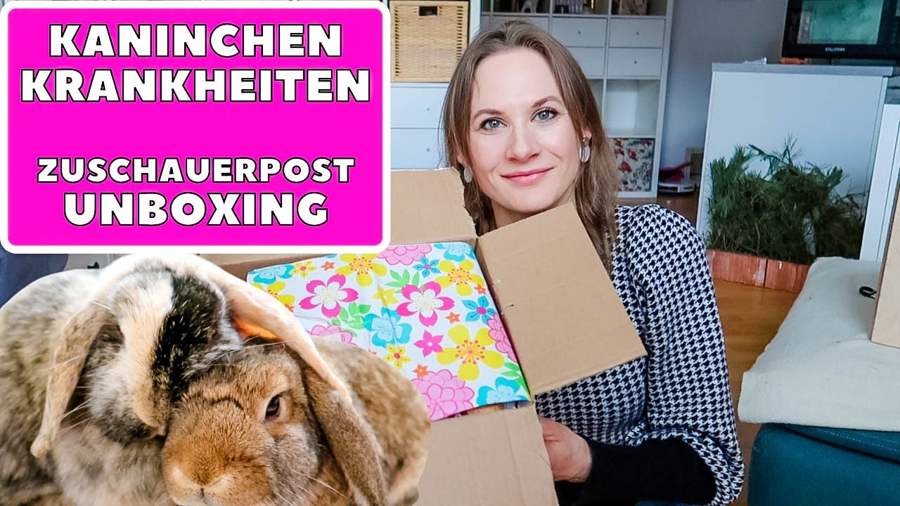 Kaninchen Krankheiten Arthrose natürlich behandeln Zuschauerpost Unboxing Alltag mit 5