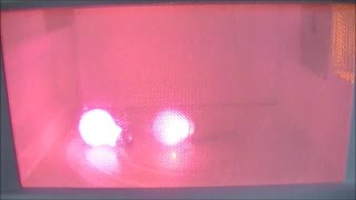 Microwave Me: Purple Party Bulbs