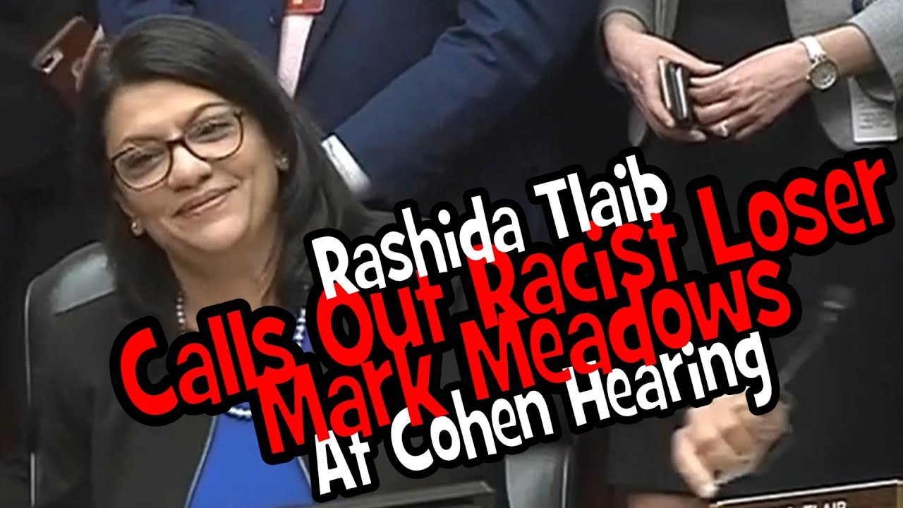 Rashida Tlaib Calls Out Racist Loser Mark Meadows At Cohen Hearing | The Speed Dogs