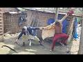 Funny amazing comedy 16😂😂😂!#funny videos #viral comedy #daily life comedy