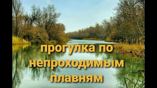 Жесть, смотреть до конца!( слова КУМА)       Непроходимые плавни! Красоты природы!!!