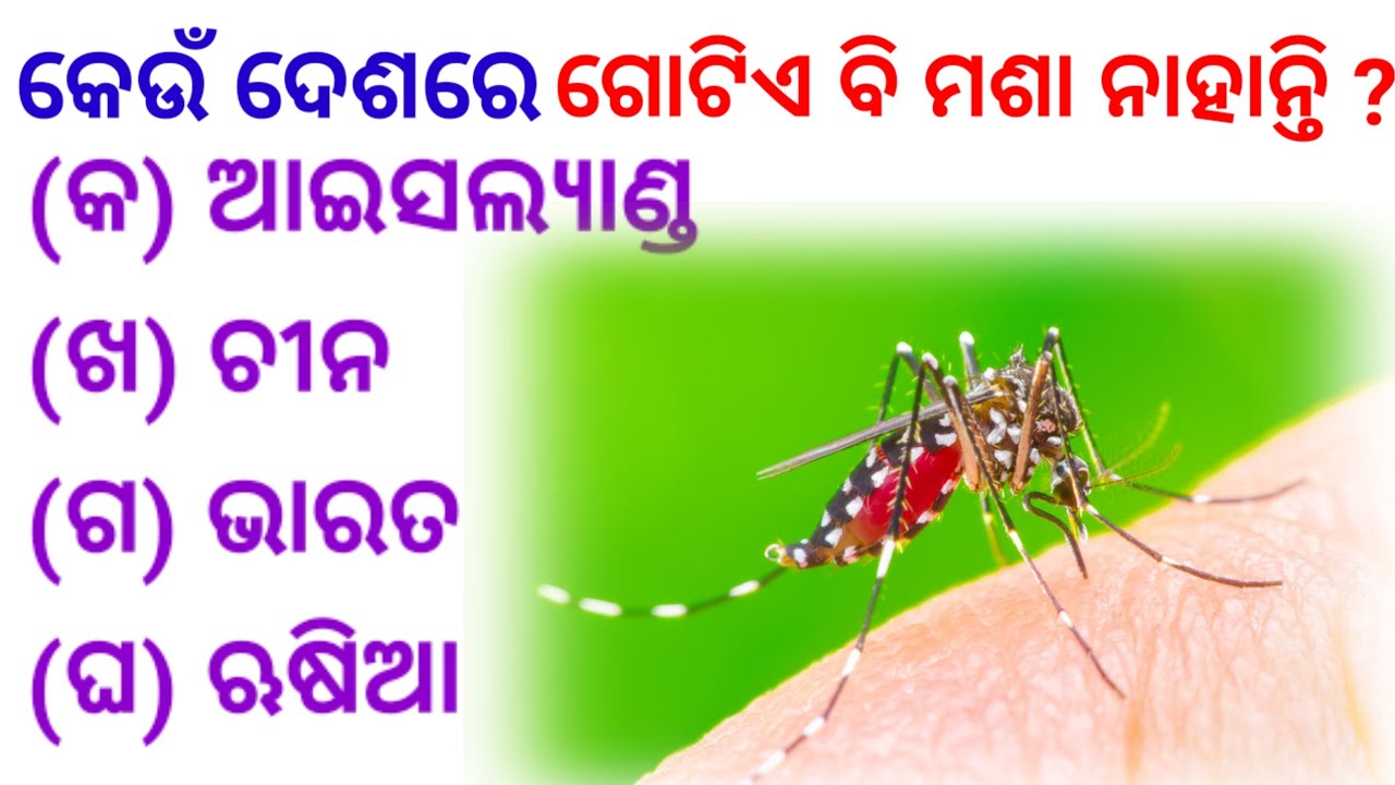 sadharan gana odia gk gk gk odia sadharan odia gk 2023 odia