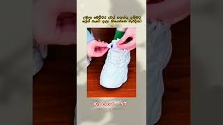 Download Lagu #dj #party #remix #aluthsong #music #newdjnonstop2024sinhala #tamilsong #68djnonstop #newdjnonstop MP3 Download Lagu #dj #party #remix #aluthsong #music #newdjnonstop2024sinhala #tamilsong #68djnonstop #newdjnonstop MP3