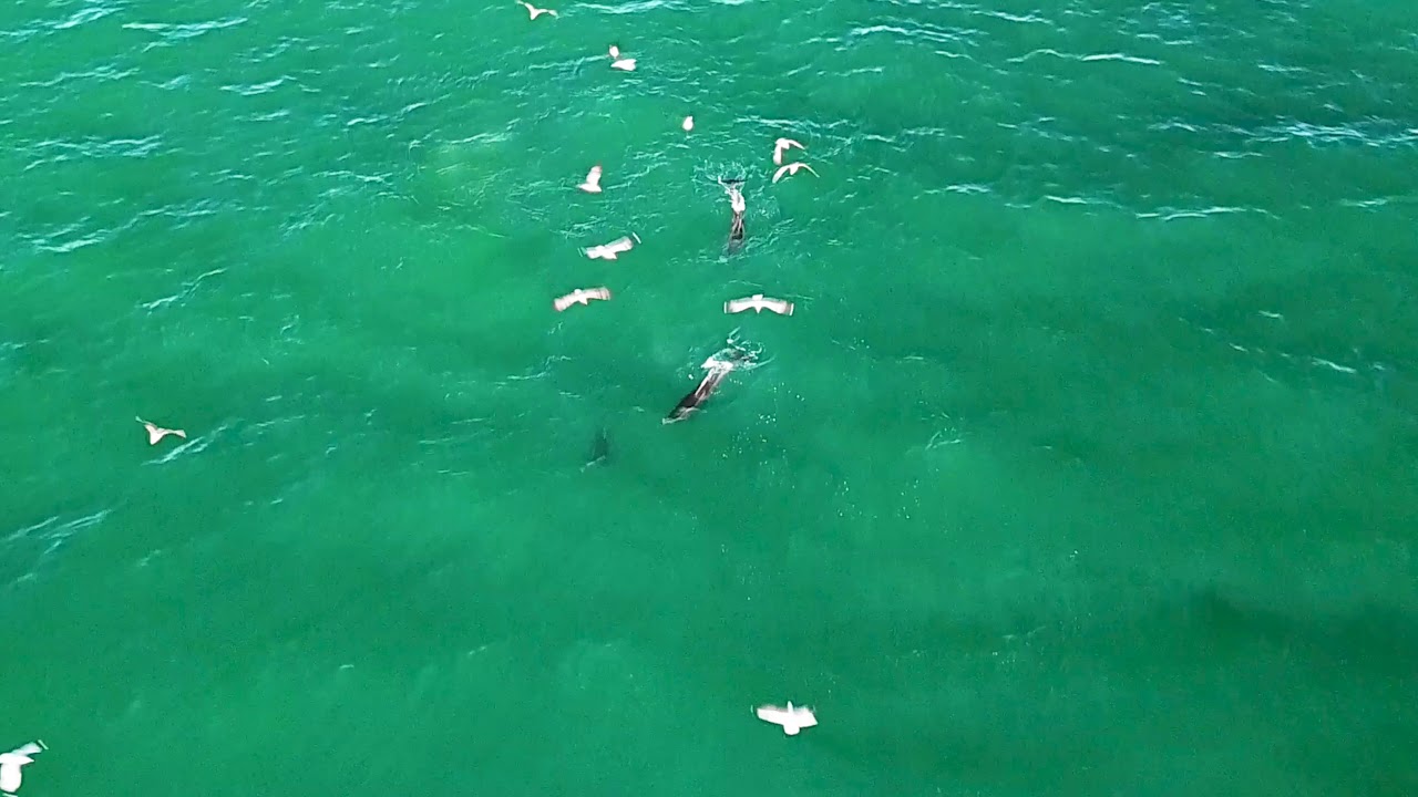 Newport Beach Aerial B-roll