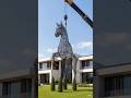 Horse Topiary Art | Nature ka Royal Masterpiece #shortvideo #viral #ytshorts