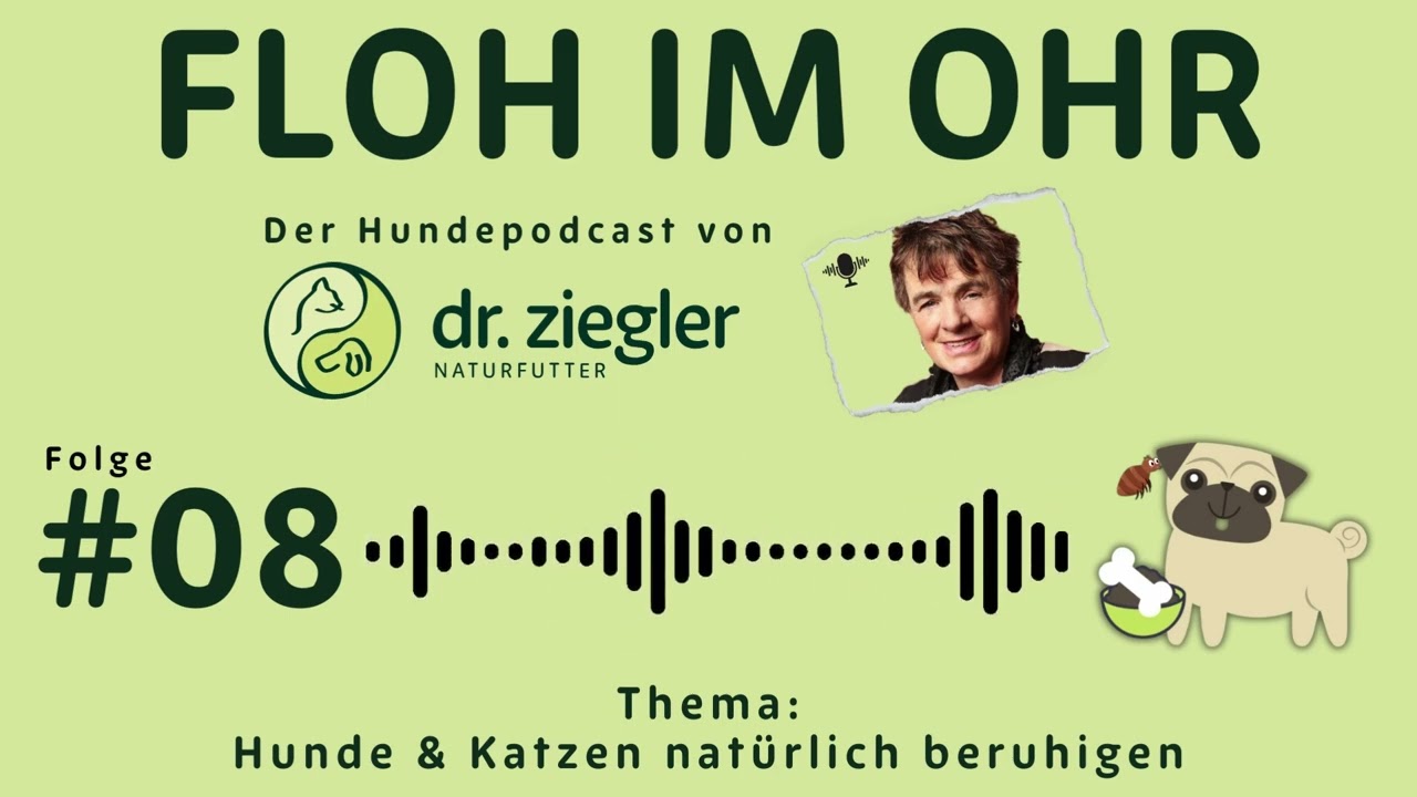 #008 | Hunde & Katzen natürlich beruhigen mit Dr. Jutta Ziegler