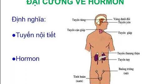 Sinh lý Nội tiết