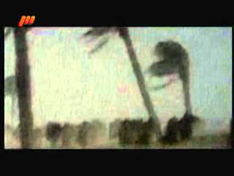 سجاده ی عشق