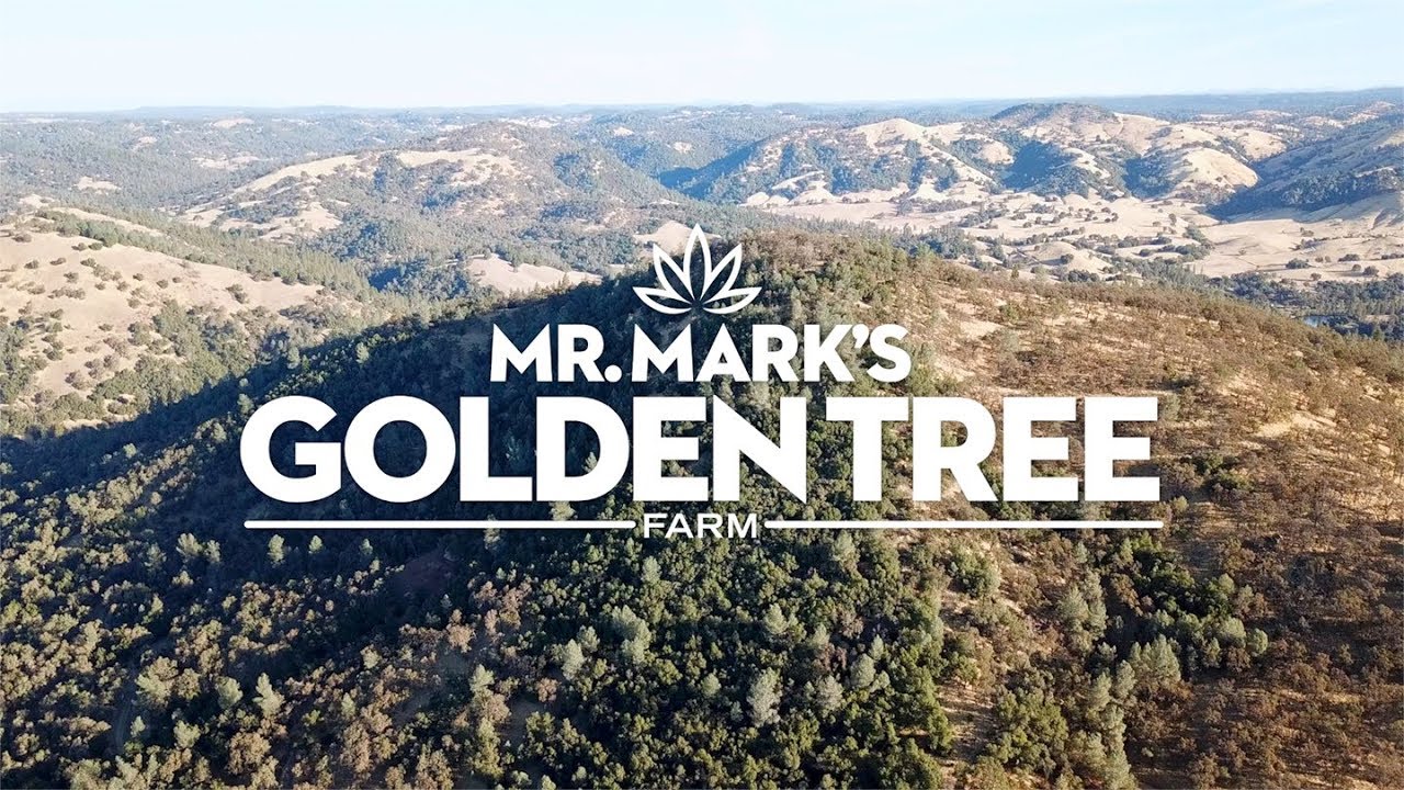 Mr. Mark's Golden Tree Farm