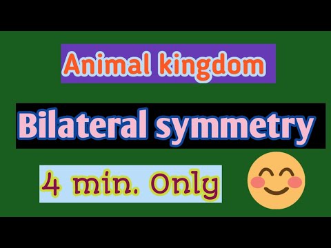 Animal kingdom/ Symmetry/ Bilateral Symmetry / NEET/ AIIMS