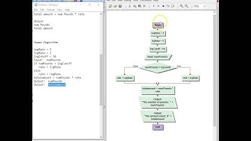 CPT 114 first decision tomatoes flowchart and code