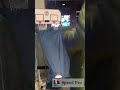 When ball is life!