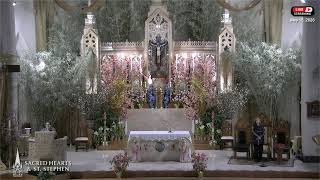 Daily Mass & Rosary (Monday-Saturday)