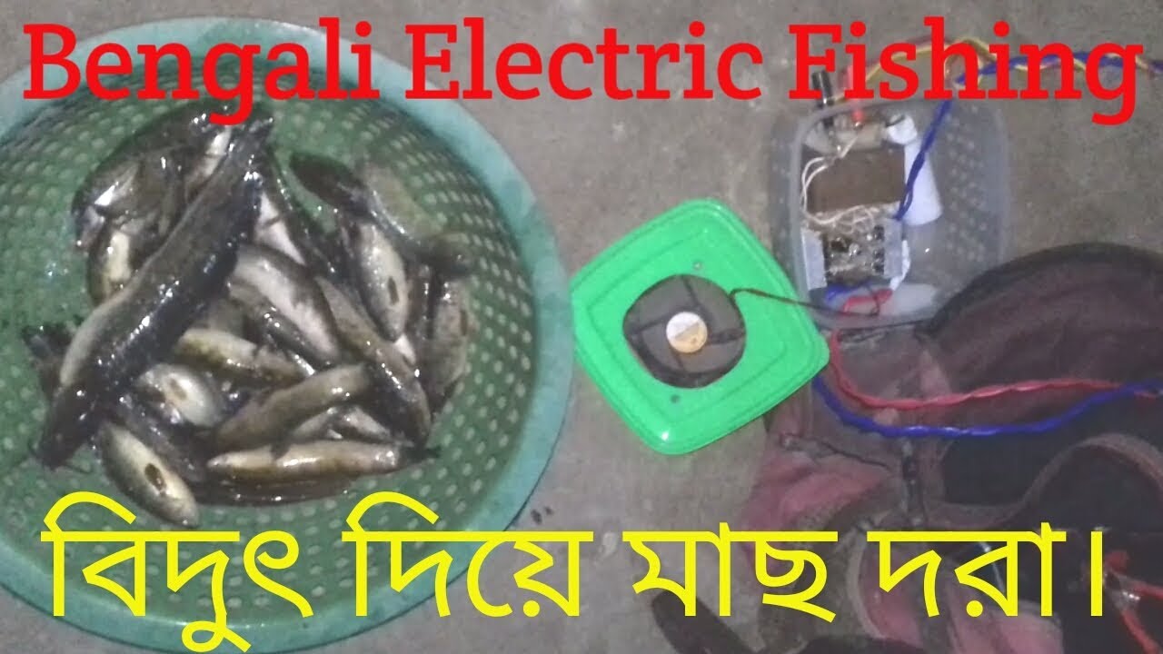 Bengali electricity fishing.! How to catch fish with electricity set up
