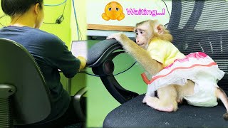 So cute! Poor monkey LyLy was hungry and fell asleep while waiting for her mother to work