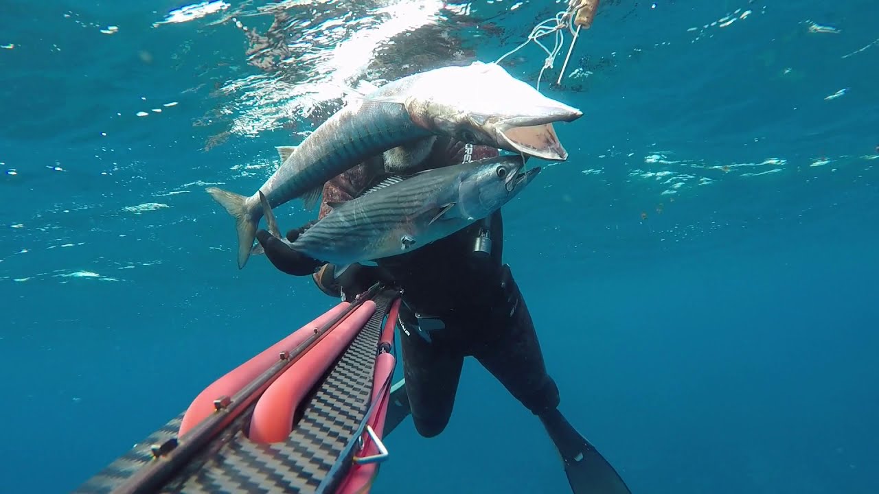 Pescasub (spearfishing) Lanzarote (Canarias). Barracuda kg. 5, Bonito