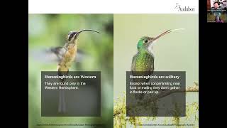 B&B Live! Wyoming hummingbirds & plants that support them screenshot 4