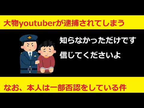 【メガニケ】大物実況系youtuber逮捕される！？なお本人は一部犯行を認めてない件【NIKKE】
