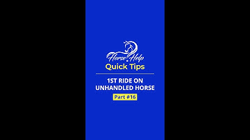 Unhandled Horse to First Ride Part 16 | The Horse Guru - Michael Gascon