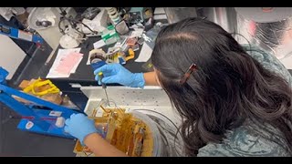 2023 Marymount Student Videos Showcase