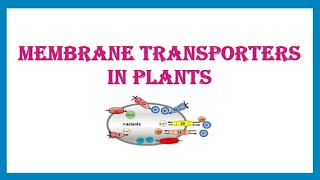 Membrane Transporters in Plants