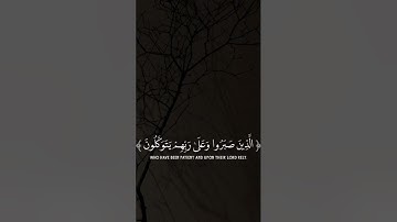 سورة العنكبوت || القارئ عبدالرحمن مسعد || آية 57🩵🩷