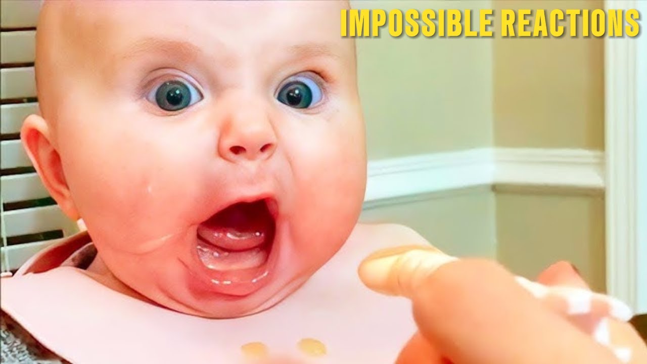 Funny Baby Compilation 2026 Hilarious reactions you wouldn't expect😂