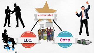 MBA 101 Corporate Governance, Business Type
