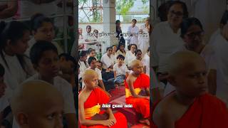 ඉවර වෙනකම් බැලෙන වීඩියෝ..🥺🙏 #viralshorts ඉවර වෙනකම් බැලෙන වීඩියෝ..🥺🙏 #viralshorts