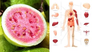 guava fruit and guava leaves health benefits screenshot 4