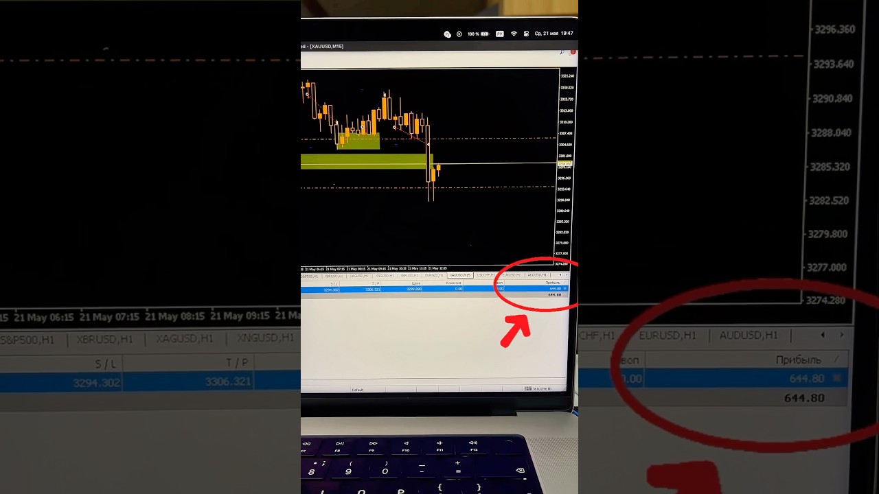Торгую золото на Форекс с подписчиками. Golden Fox Club 