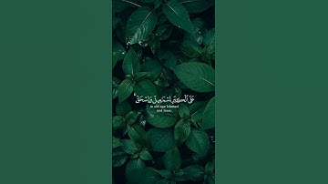 القارئ: طارق محمد 🍃  أرح سمعك 🥀 #قرآن #المصحف #قران_كريم