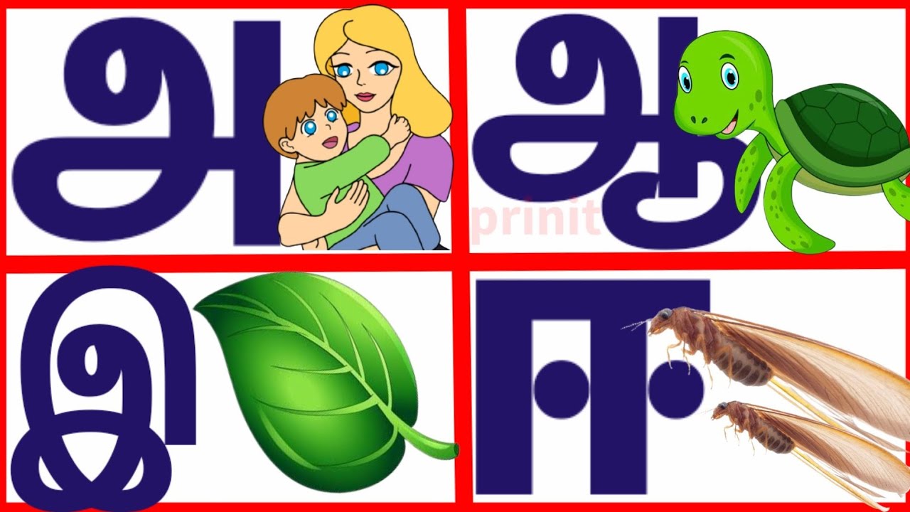 Learn Tamil Alphabets Youtube vrogue.co
