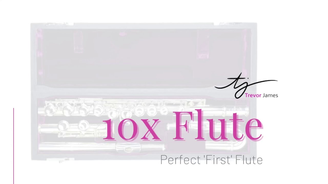 Trevor James TJ10x フルート　81447 Trevor James flute - TJ 10x
