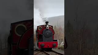 Edward Thomas pulls into Nant Gwernol with a mixed train #Railway #SteamTrain #Trainspotting #Wales