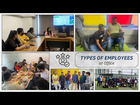Types of Employees in Office - Triveni Global Software Services LLP | Surat | Ahmedabad | Pune - video from Triveni Globalsoft