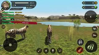 Playing cheetah simulator INSANE gameplay!!