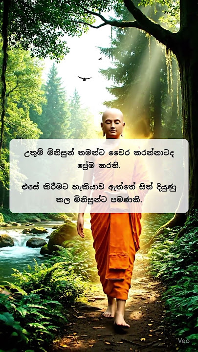 හිතන්න තප්පර අටක් : 278 #buddha #buddhism #buddhist #spirituality #motivation #lordbuddha #shorts