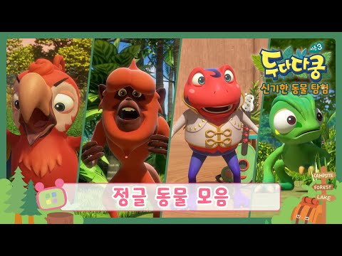 두다다쿵3 신기한 동물 탐험 | 정글 동물 모음 | 모두의 탐험 사전 | 어린이 <strong>동물도감</strong> | Animation for Kids | Animals for Kids