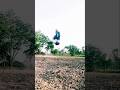 Dangerous stunt #shorts #brucelee
