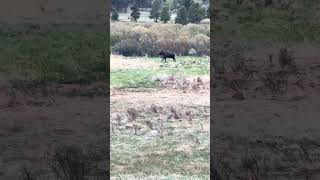 Rocky Mountain National Park 2