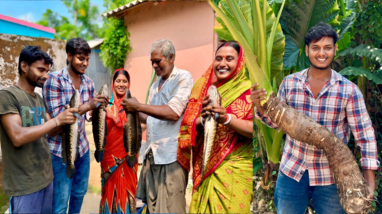 যেমন বড়ো মানকচু তেমনই বড়ো শোল মুখে লেগে থাকার মতো স্বাদ। Bengali famous Sholfish & Mankochu Recipe