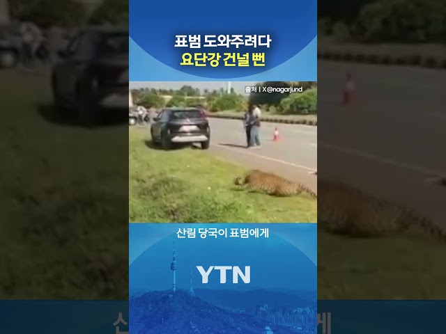 오해한 표범의 공격 #shorts / YTN