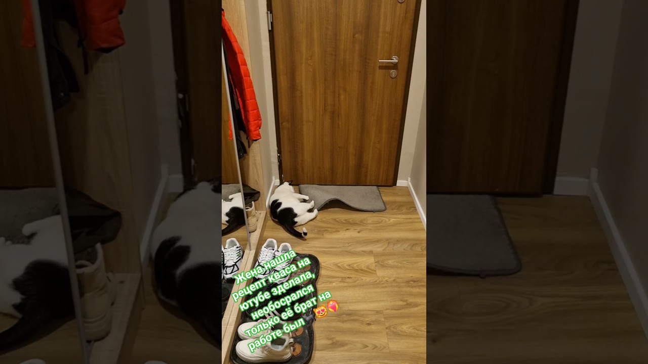 Стэтхэм о квасе🐈‍⬛😻❤️‍🔥 