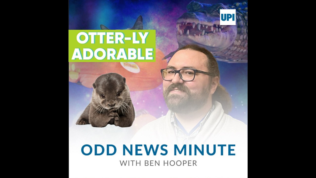 Otter babies in car engine, horse falls in the pool