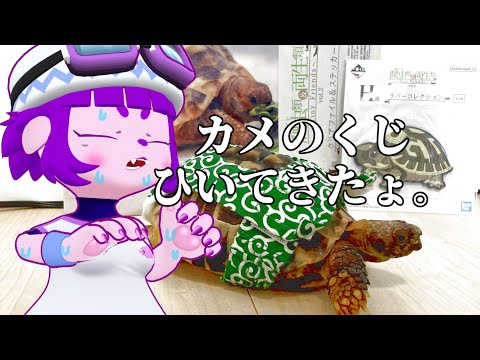 一番くじ 爬虫類＆両生類】カメフィギュアほしすぎんだろ